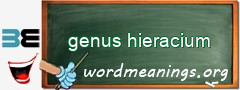 WordMeaning blackboard for genus hieracium